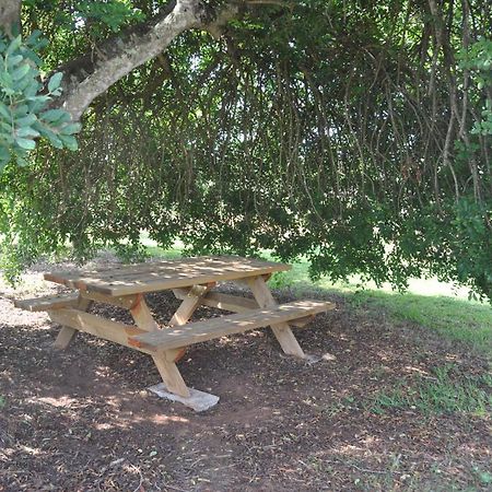Can Porreti Agroturisme Thị trấn Thị trấn Lloret de Vistalegre Ngoại thất bức ảnh