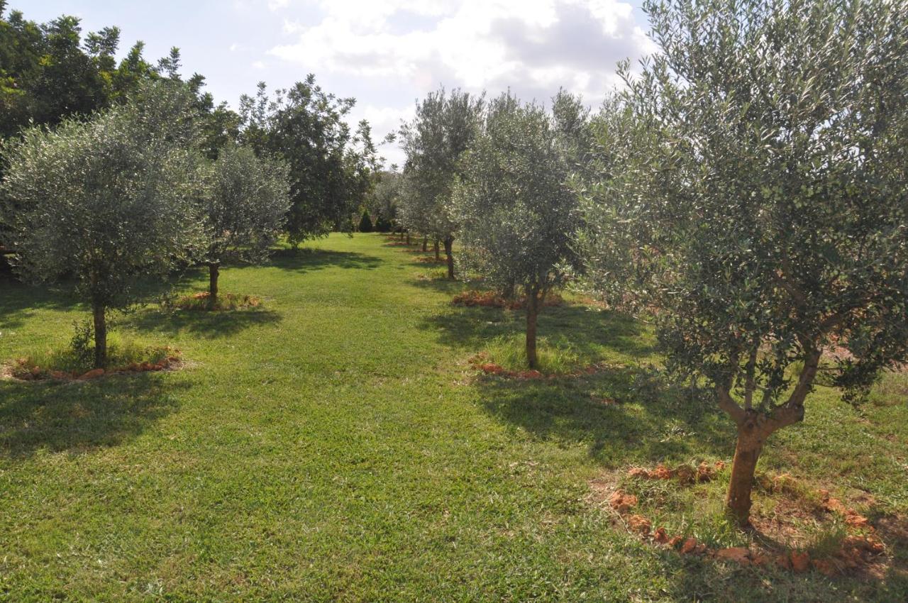 Can Porreti Agroturisme Thị trấn Thị trấn Lloret de Vistalegre Ngoại thất bức ảnh